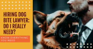 Read more about the article Hiring Dog Bite Lawyer: Do I Really Need?